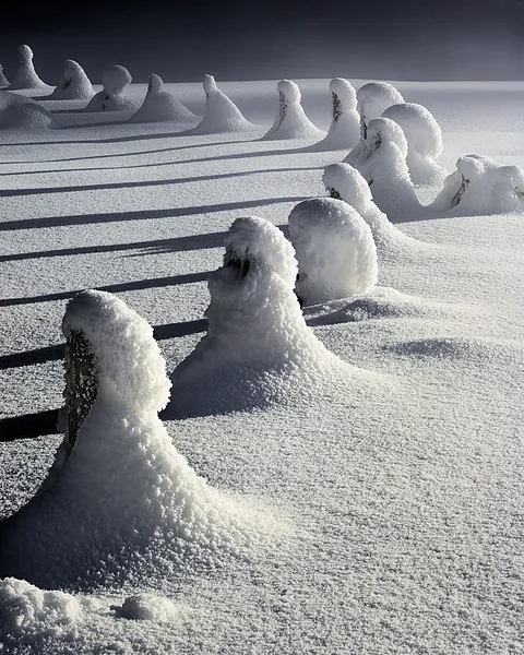 Wolfgang Mayerhoffer